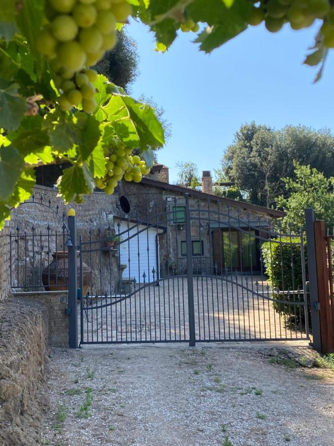 Casetta Santa Fortunata Guest House سوتري المظهر الخارجي الصورة